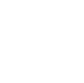 dev-icon