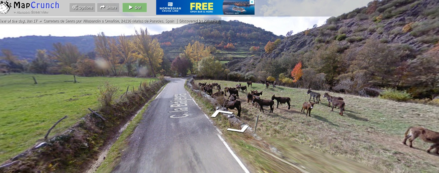 MapCrunch