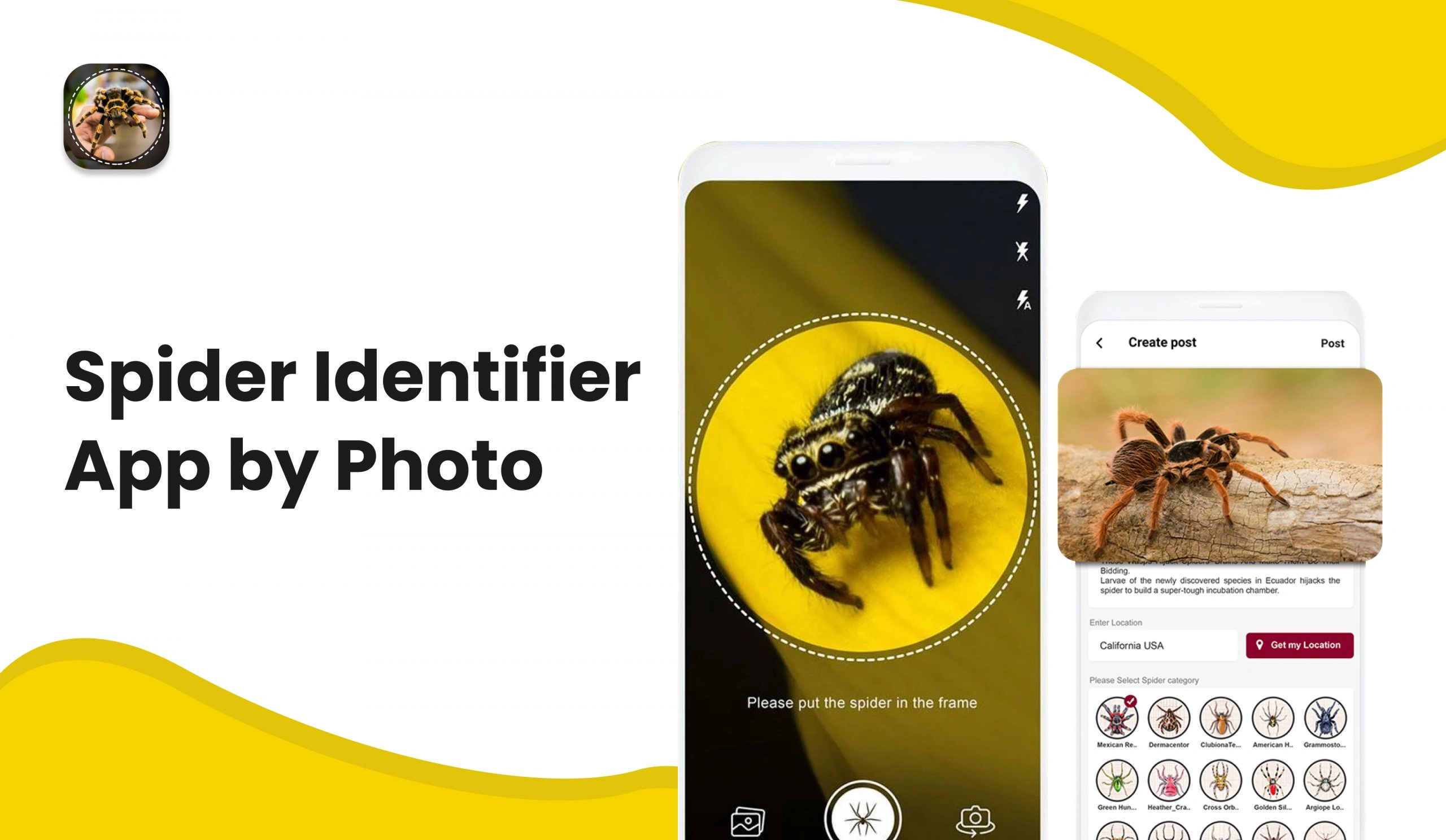 Spider Identifier