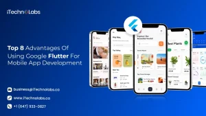 Are You Looking for Flutter For Mobile App Development Service?