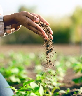 Agriculture