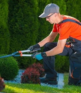 Gardening
